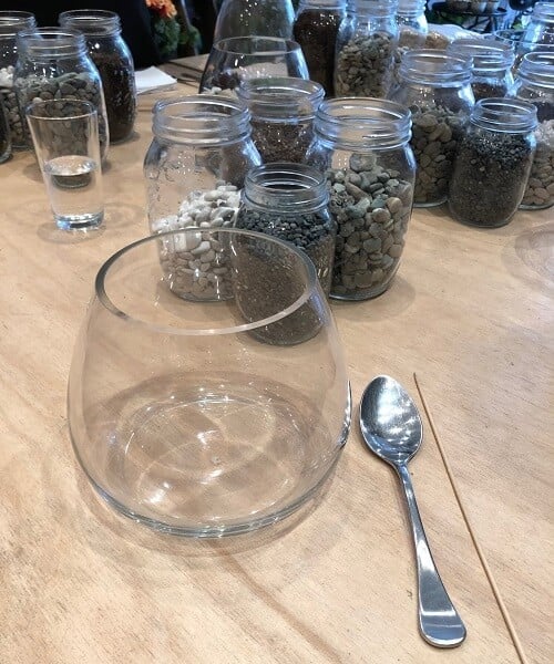 how to make a terrarium